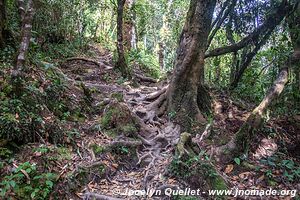 Cerro El Pital - El Salvador