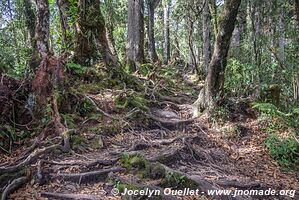 Cerro El Pital - El Salvador