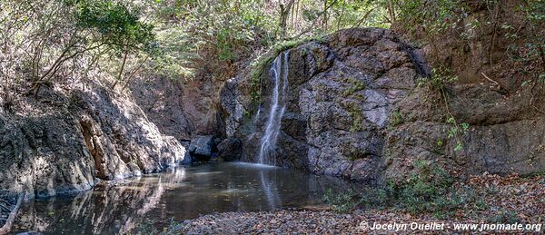 Bosque de Cinquera - El Salvador