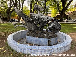 Mendoza - Argentine