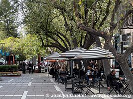 Mendoza - Argentine