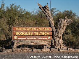 Reserva natural y cultural Bosques Telteca - Argentine