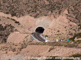 Potrerillos - Argentina