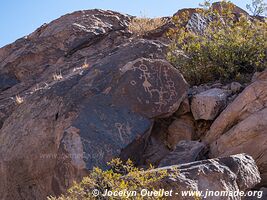 Cerro Tunduqueral - Uspallata - Argentina