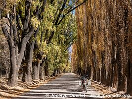 Uspallata - Argentine