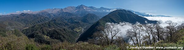 Route de Buena Vista à Concepción - Argentine