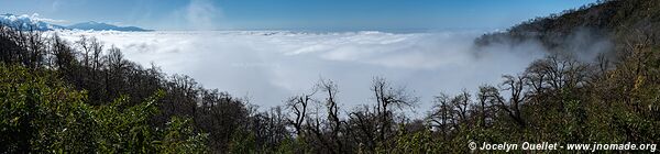 Route de Buena Vista à Concepción - Argentine