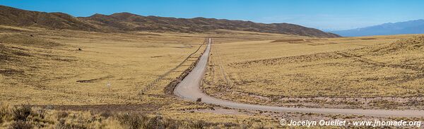 Route de Tupungato à Potrerillos - Argentine