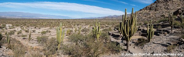 Ruinas de los Quilmes - Argentine