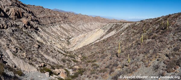 Road from Tolombón to San Pedro de Colalao - Argentina