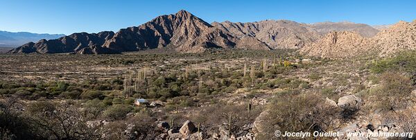 Cafayate - Argentina