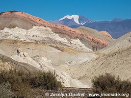 Route de Barreal à Calingasta - Argentine