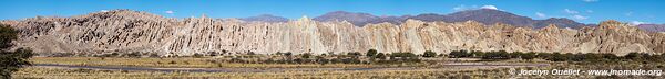 Route de Cafayate à Angastaco - Argentine