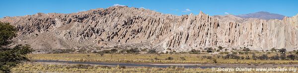 Road from Cafayate to Angastaco - Argentina