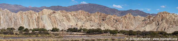 Route de Cafayate à Angastaco - Argentine