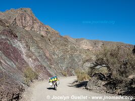 Route de Barreal à Calingasta - Argentine