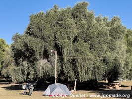 San José de Jáchal - Argentina