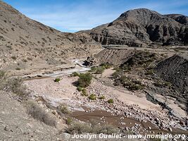 Parque Provincial Ischigualasto - Argentina