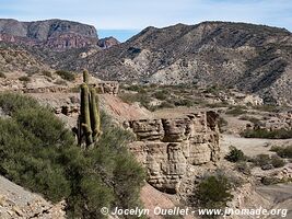 Parque Provincial Ischigualasto - Argentine