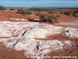 Parque Provincial Ischigualasto - Argentina