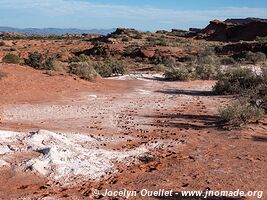 Parque Provincial Ischigualasto - Argentine