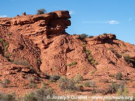 Parque Provincial Ischigualasto - Argentine