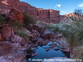 Parque Provincial Ischigualasto - Argentine