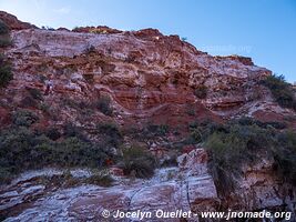 Parque Provincial Ischigualasto - Argentine