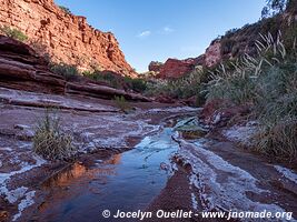 Parque Provincial Ischigualasto - Argentine