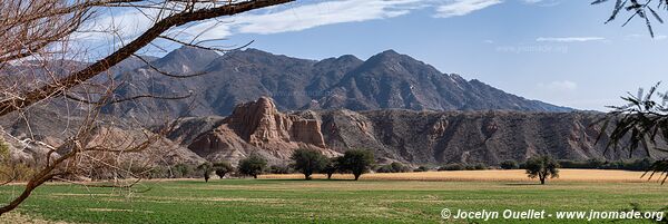 Road from Angastaco to Molinos - Argentina