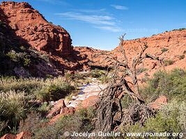 Parque Provincial Ischigualasto - Argentina