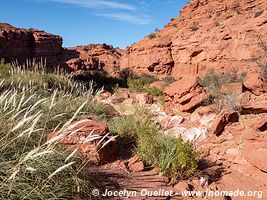 Parque Provincial Ischigualasto - Argentine