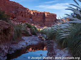 Parque Provincial Ischigualasto - Argentine