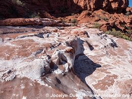 Parque Provincial Ischigualasto - Argentina