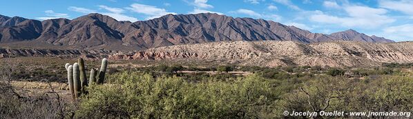 Molinos-Colomé-Cuchiyaco-Brealito-Seclantás Trail - Argentina