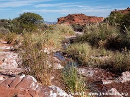 Parque Provincial Ischigualasto - Argentina