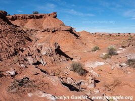 Parque Provincial Ischigualasto - Argentina