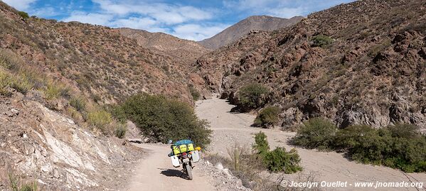 Molinos-Colomé-Cuchiyaco-Brealito-Seclantás Trail - Argentina