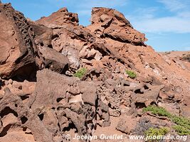 Parque Provincial Ischigualasto - Argentina