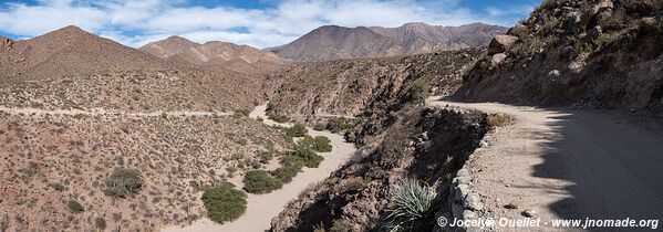 Molinos-Colomé-Cuchiyaco-Brealito-Seclantás Trail - Argentina