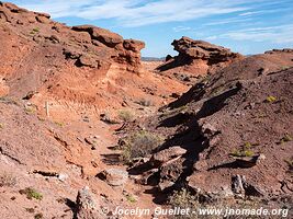 Parque Provincial Ischigualasto - Argentine