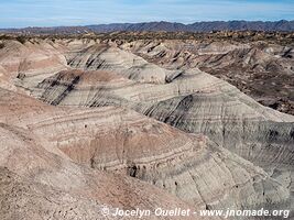 Parque Provincial Ischigualasto - Argentine