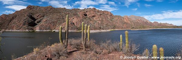 Molinos-Colomé-Cuchiyaco-Brealito-Seclantás Trail - Argentina