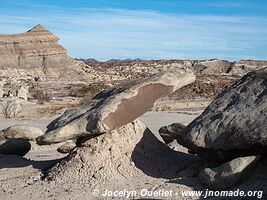 Parque Provincial Ischigualasto - Argentine