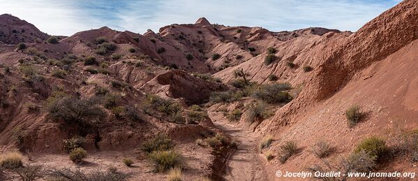 Camino de Los Colorados - Argentina