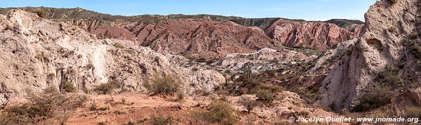 Camino de Los Colorados - Argentine