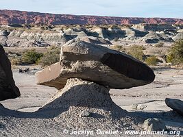 Parque Provincial Ischigualasto - Argentine