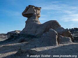 Parque Provincial Ischigualasto - Argentine