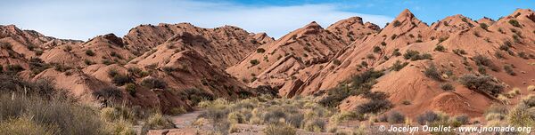 Camino de Los Colorados - Argentina