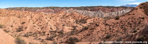 Camino de Los Colorados - Argentine